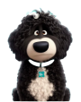 Bershedoodle logo